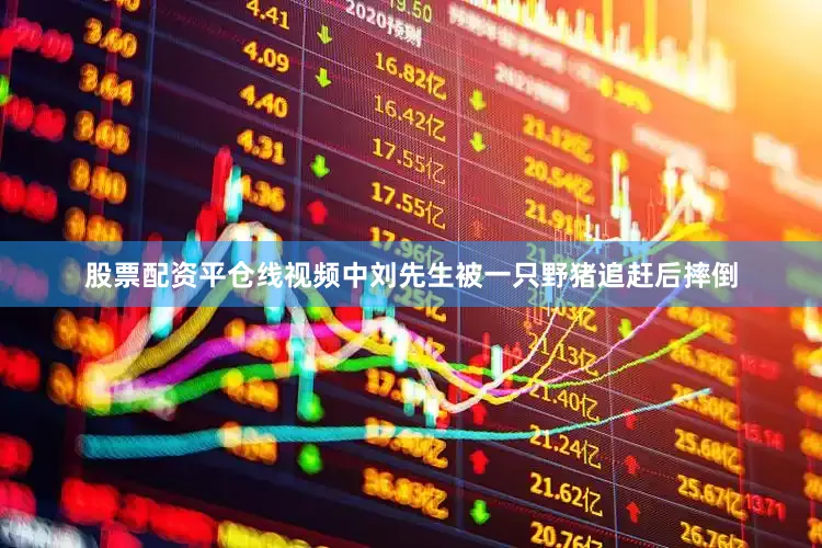 股票配资平仓线视频中刘先生被一只野猪追赶后摔倒